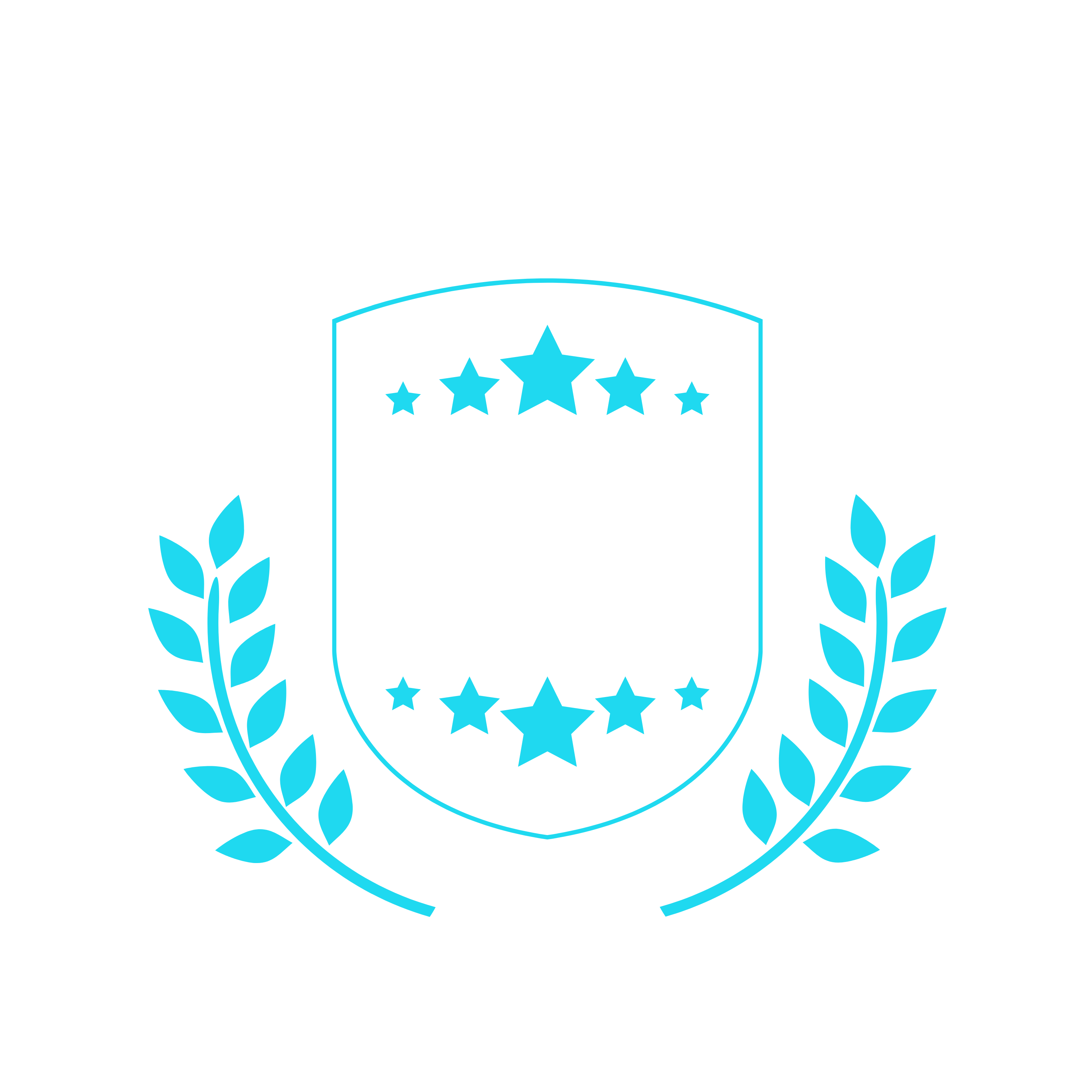 system